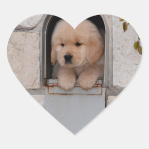 Puppy Mail Hjärtformat Klistermärke