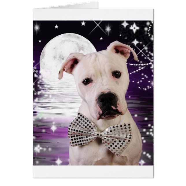 Puppy måne hälsningskort (Framsidan)