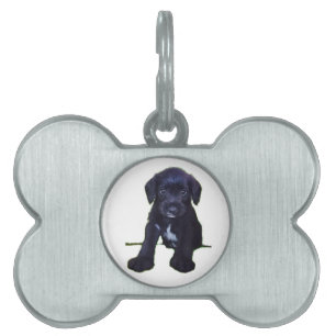 Puppy-Märkre Namnbricka Husdjur