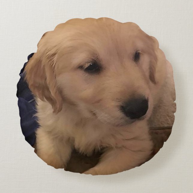 Puppy med guldfärgad återgivningspanel rund kudde (Framsidan)