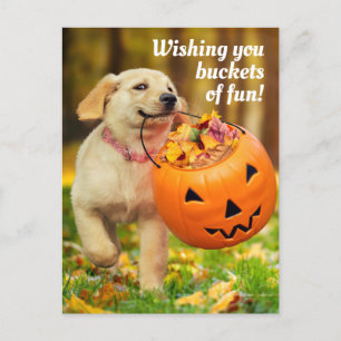 Puppy med pumpa inbjudan vykort