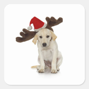 Puppy med Santa Hat och Reindeer Öron Fyrkantigt Klistermärke