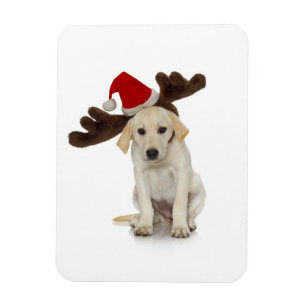 Puppy med Santa Hat och Reindeer Öron Magnet