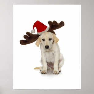 Puppy med Santa Hat och Reindeer Öron Poster