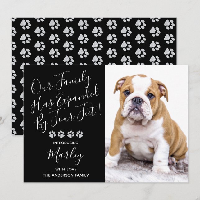 Puppy-meddelande - Elegant Modern Black New Pet Inbjudningar (Fram/baksida)