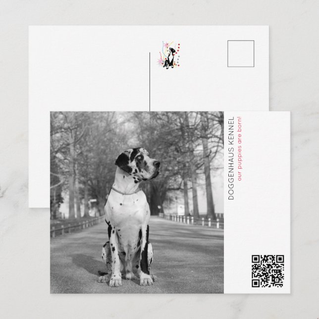 Puppy-meddelande Vykort (Fram/baksida)