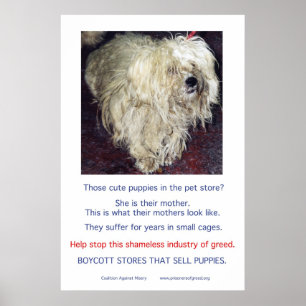 Puppy Mills-misären Poster