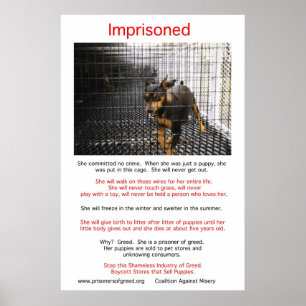 Puppy Mills-misären Poster