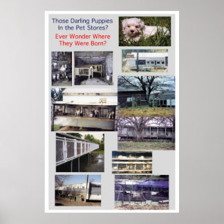 Puppy Mills-misären Poster