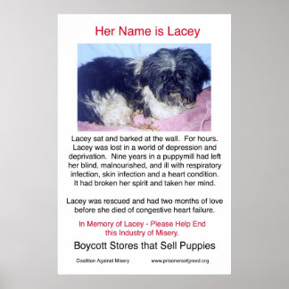 Puppy Mills-misären Poster