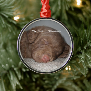 Puppy Mitt första julfoto-prydnadsföremål Julgransprydnad Metall