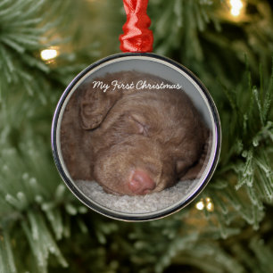 Puppy Mitt första julfoto-prydnadsföremål Julgransprydnad Metall