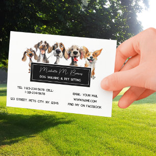 Puppy Modern Dog Walker Pet Sitta Flyer