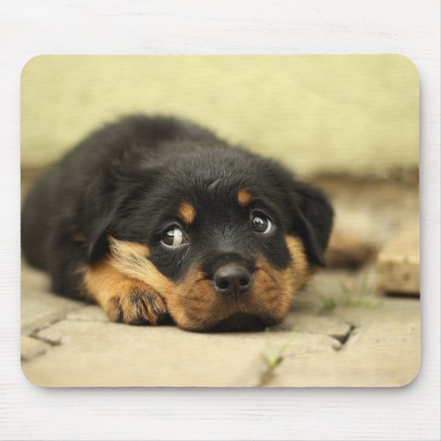 Puppy Mousepad Musmatta (Framsidan)