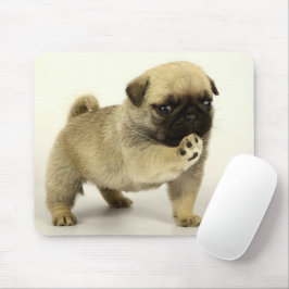 Puppy Musmatta