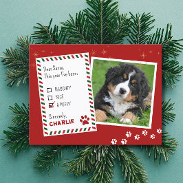 Puppy Naughty eller God Jul-hälsningskort Vykort