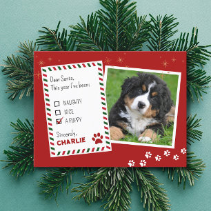 Puppy Naughty eller God Jul-hälsningskort Vykort