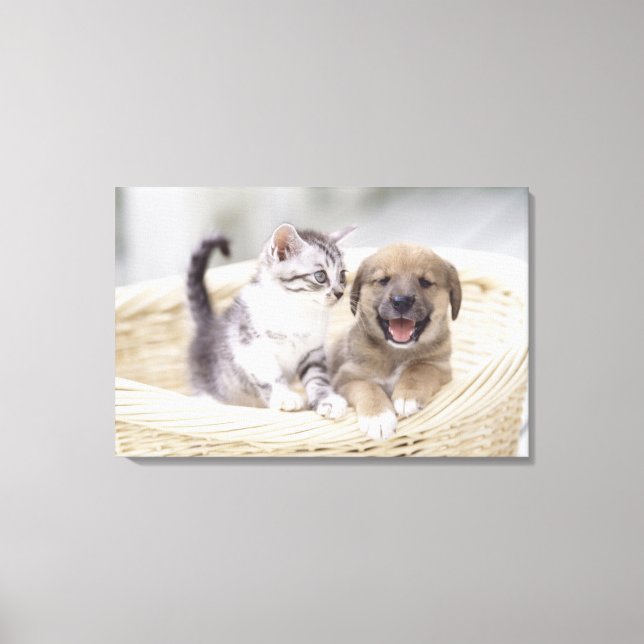 Puppy och Baby Cat Canvastryck (Framsida)