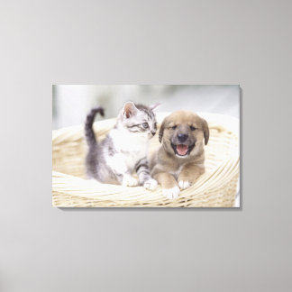 Puppy och Baby Cat Canvastryck