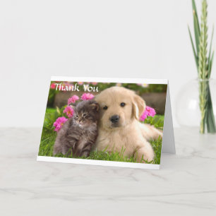 Puppy och kattkort för Tack Golden Retriever Kort