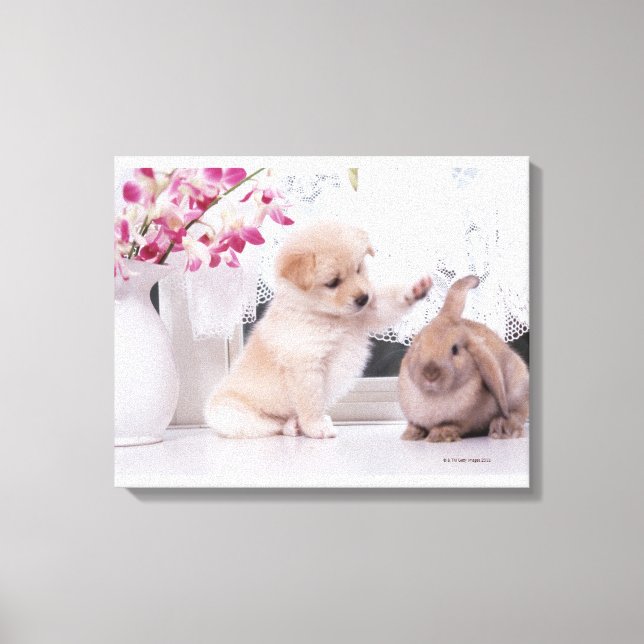 Puppy och Lop Ear Rabbit Canvastryck (Framsida)