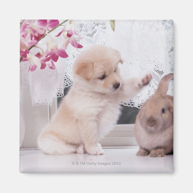 Puppy och Lop Ear Rabbit Magnet (Framsidan)