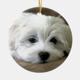 Puppy Öga Julgransprydnad Keramik