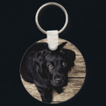 Puppy Öga Nyckelring<br><div class="desc">Lägg till lite färg och tecken i nycklar med en av våra fantastisk-nyckelkedjor!</div>