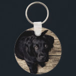 Puppy Öga Nyckelring<br><div class="desc">Lägg till lite färg och tecken i nycklar med en av våra fantastisk-nyckelkedjor!</div>