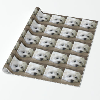 Puppy Öga Presentpapper
