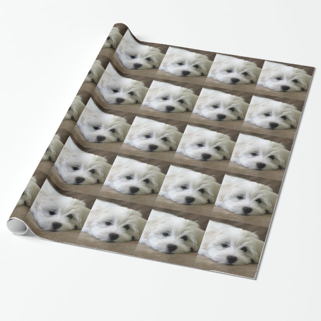 Puppy Öga Presentpapper (Utrullad)
