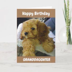 PUPPY ÖNSKEMÅL FOR **GRANDDAUGHTER** BIRTHDAARD CA KORT