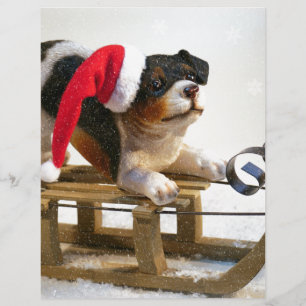 Puppy på en Sled
