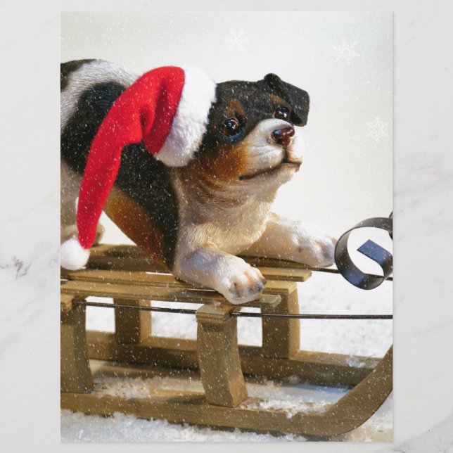 Puppy på en Sled (Framsida)