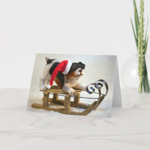 Puppy på en Sled Helgkort