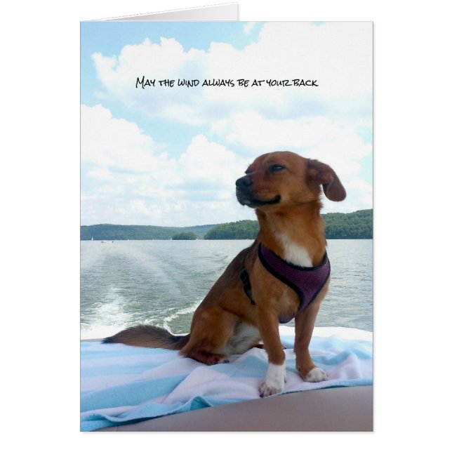 Puppy på Vinden vid bak-sinnen Hälsningskort (Framsidan)