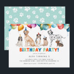 Puppy Party | Tute Roligt Kids Hund Tema födelseda Inbjudningar<br><div class="desc">Roligt hund temade födelsedagsfest inbjudan med illustrationer av olika hundraser och party-ballonger. Den omvända sidan har en himlar blå pawprint mönster. Anpassa med din party-information.</div>