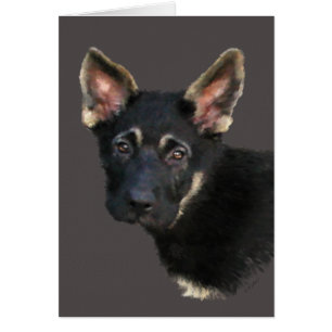 Puppy-Pastels german shepard Hälsningskort