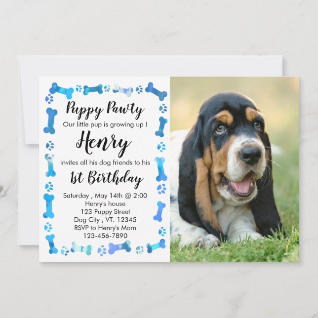 Puppy Pawty - Blue Boy Pet - Hund Birthday Puppy Inbjudningar (Framsida)