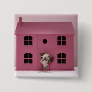 Puppy peering ur dockans hus knapp