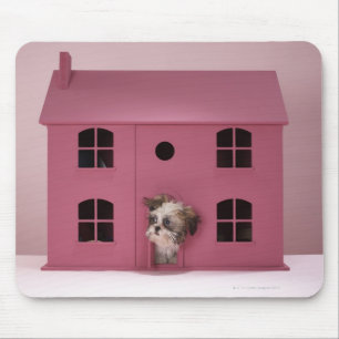 Puppy peering ur dockans hus musmatta