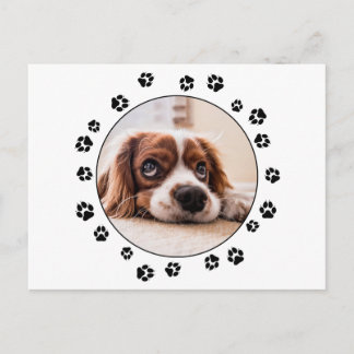 Puppy Photo Black-Tassavtryck Vykort