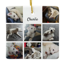 Puppy Photo Collage Cute Hund