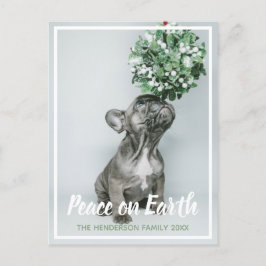 Puppy Photo Peace på jorden Hund älskare jul Helg Vykort