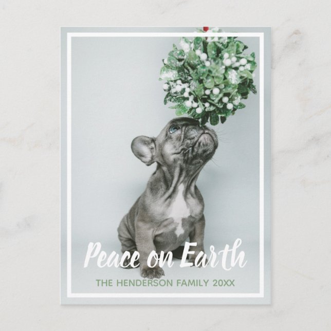 Puppy Photo Peace på jorden Hund älskare jul Helg Vykort (Framsida)