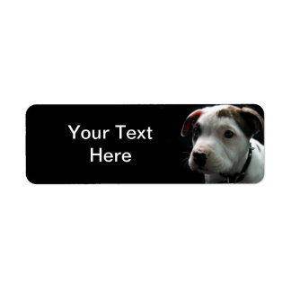 Puppy Pit Bull T-Bone Returadress Etikett
