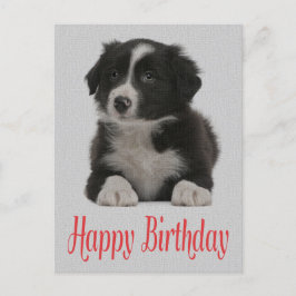 Puppy-postkort för valpen Hund i Grattis på födels Vykort