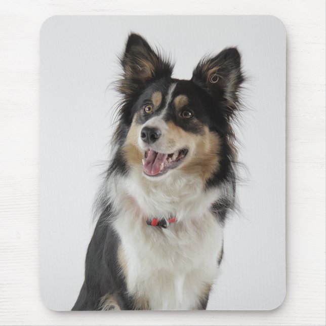 Puppy Puppy Hund Mousepad Kärlek Gräns Musmatta (Framsidan)