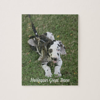 Puppy Puzzle great dane Pussel