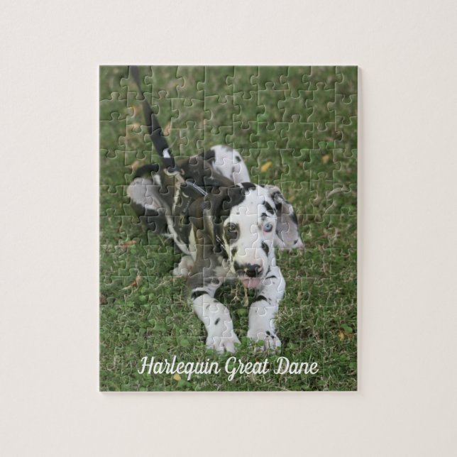 Puppy Puzzle great dane Pussel (Vertikal)